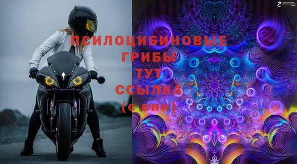 спайс Баксан