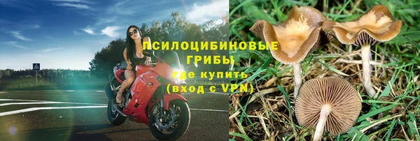 спайс Баксан