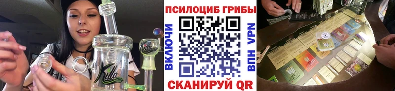 Галлюциногенные грибы Cubensis  blacksprut как зайти  Петровск-Забайкальский 